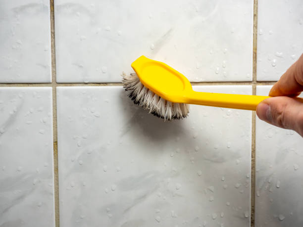 Best Home Mold Removal  in Abbeville, LA