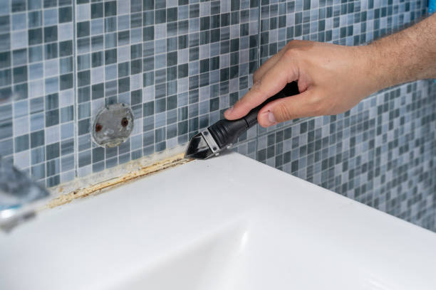 Abbeville, LA Mold Removal Company