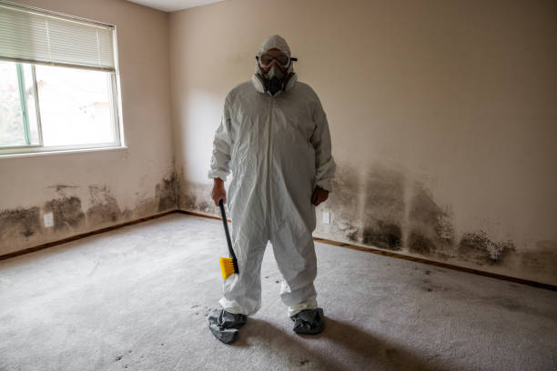 Best Residential Mold Removal  in Abbeville, LA